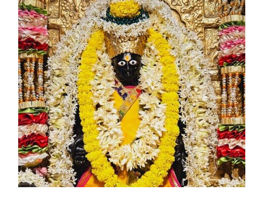 सावन पुत्रदा एकादशी : महादेव और नारायण की कृपा पाने का दुर्लभ अवसर, जानें व्रत और पूजन विधि